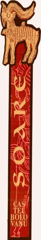 Vinarte Castel Bolovanu Soare Red 2001 Front Label