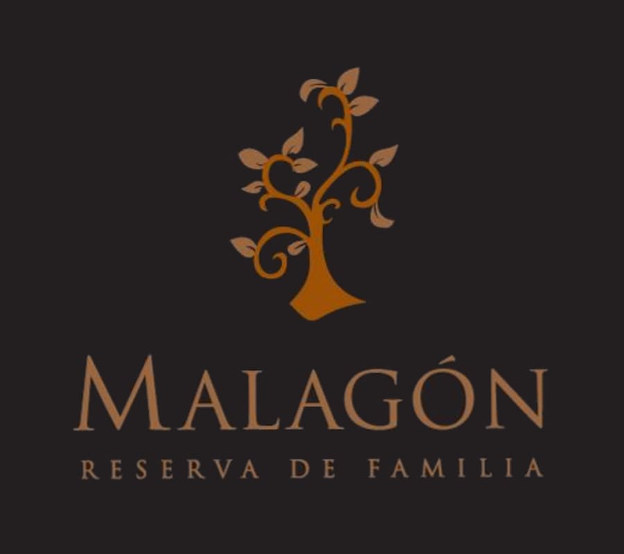 Vinedos Malagon Reserva de la Familia 2009 Front Label