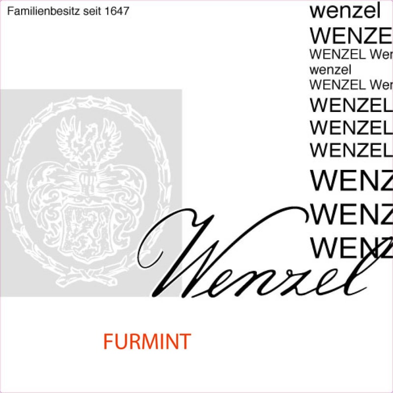 Weinbau Michael Wenzel Furmint 2013 Front Label