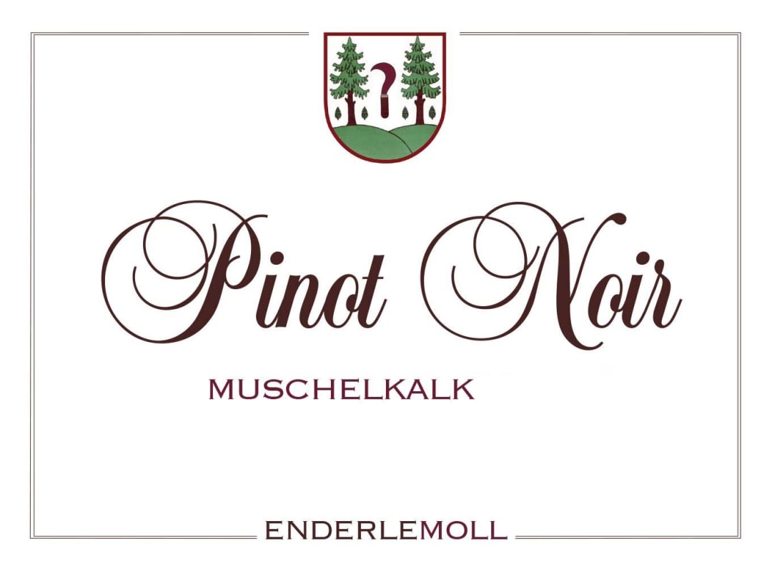 Weingut Enderle & Moll Muschelkalk Pinot Noir 2013 Front Label