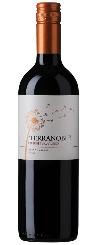 TerraNoble Cabernet Sauvignon 2017 Front Bottle Shot