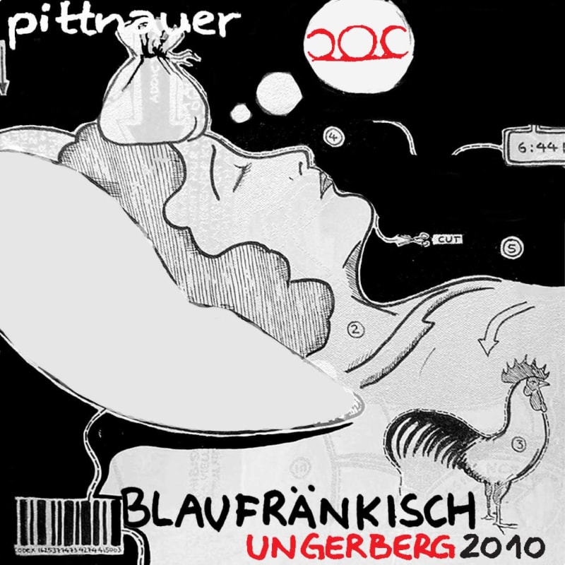 Weingut Gerhard and Brigitte Pittnauer Ungerberg Blaufrankisch 2010 Front Label