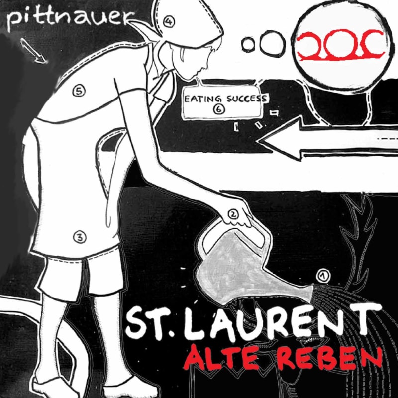 Weingut Gerhard and Brigitte Pittnauer Alte Reben St. Laurent 2011 Front Label