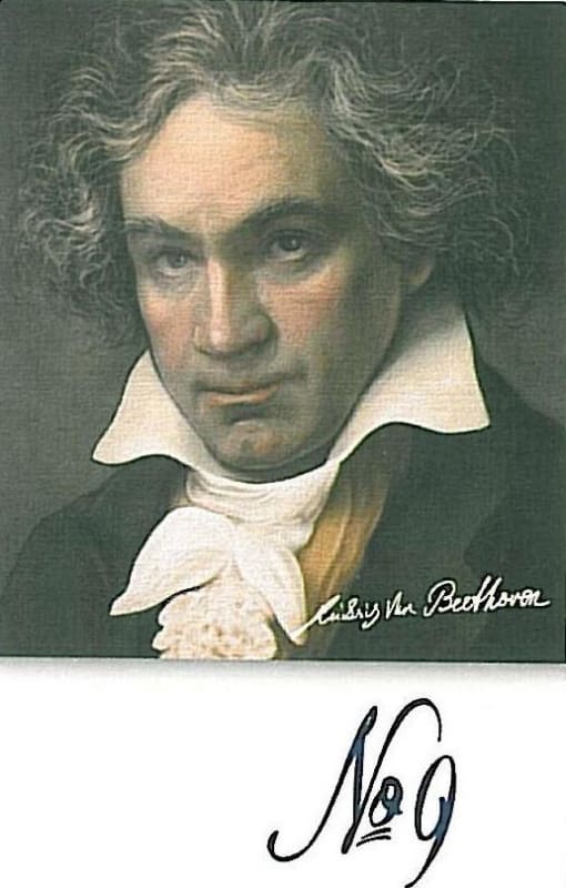 Weingut Mayer am Pfarrplatz Beethoven No.9 2014 Front Label