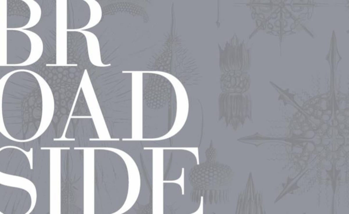 Broadside White Hawk Vineyard Chardonnay 2012 Front Label