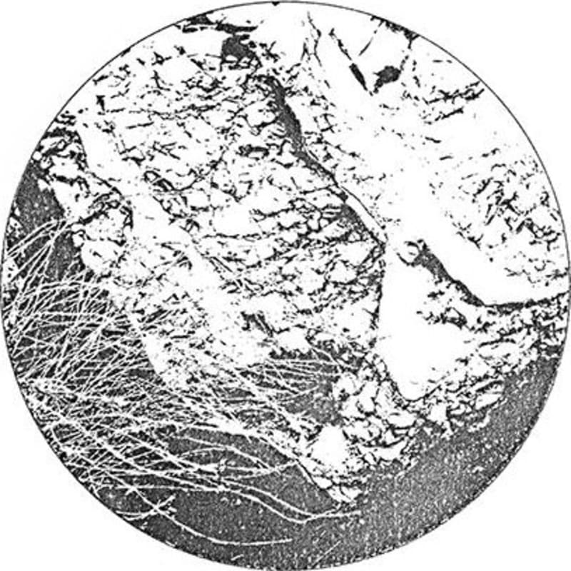 Stolpman Vineyards La Cuadrilla 2013 Front Label