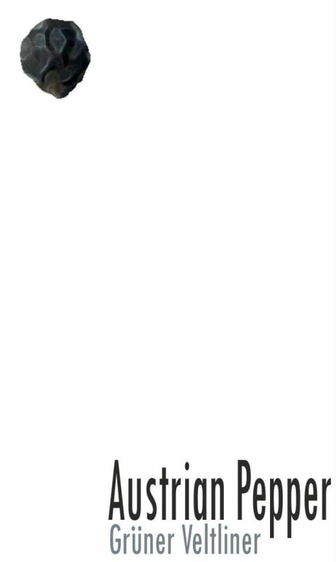 Pfaffl Austrian Pepper Gruner Veltliner 2011 Front Label