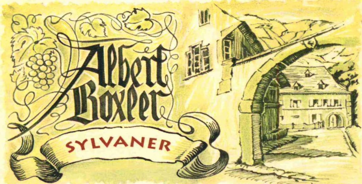 Albert Boxler Old Vines Sylvaner 2011 Front Label