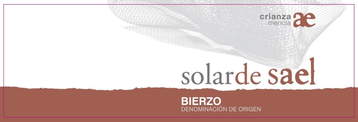 Arturo Garcia Bierzo Solar de Sael Crianza 2012 Front Label