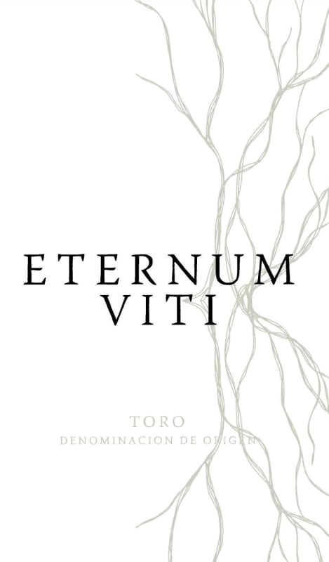 Bodegas Abanico Eternum Viti 2013 Front Label