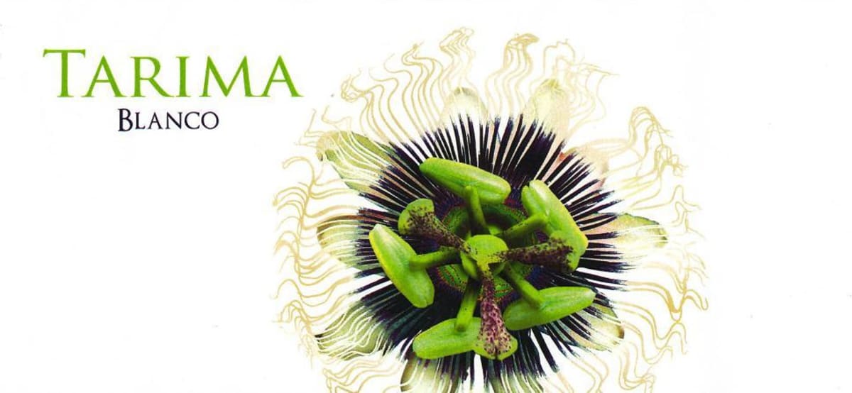 Bodegas Volver Tarima Blanco 2013 Front Label