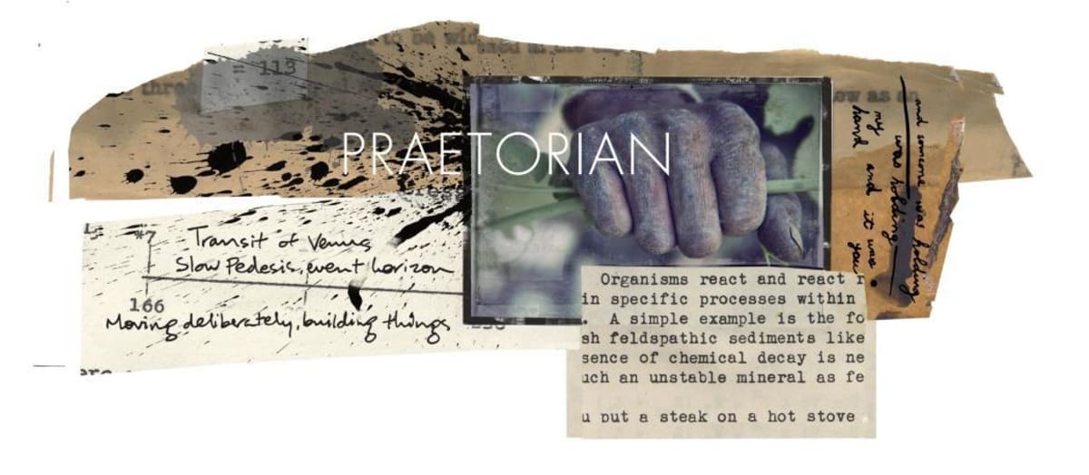ONX Wine Praetorian 2013 Front Label
