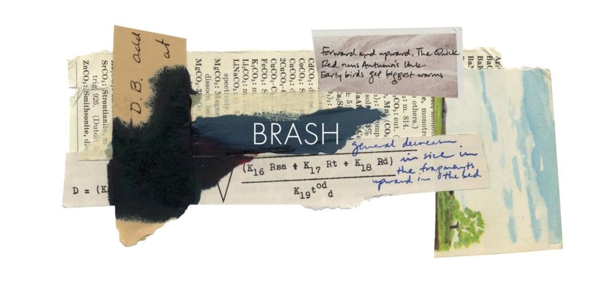 ONX Wine Brash 2011 Front Label