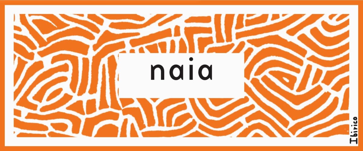 Bodegas Naia Verdejo 2015 Front Label