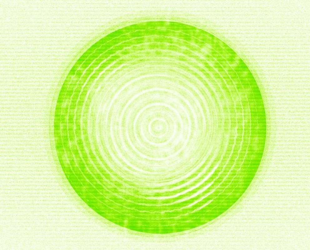 Rasa Vineyards Living in the Limelight Petit Verdot 2013 Front Label