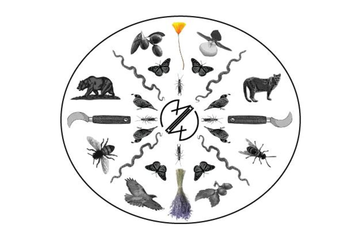 Salinia Wine Company Sun Hawk Farms Mix 2013 Front Label