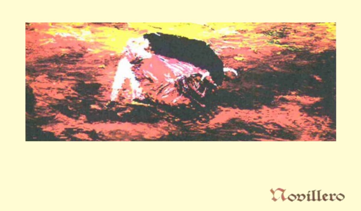 Sanguis Novillero Syrah 2006 Front Label