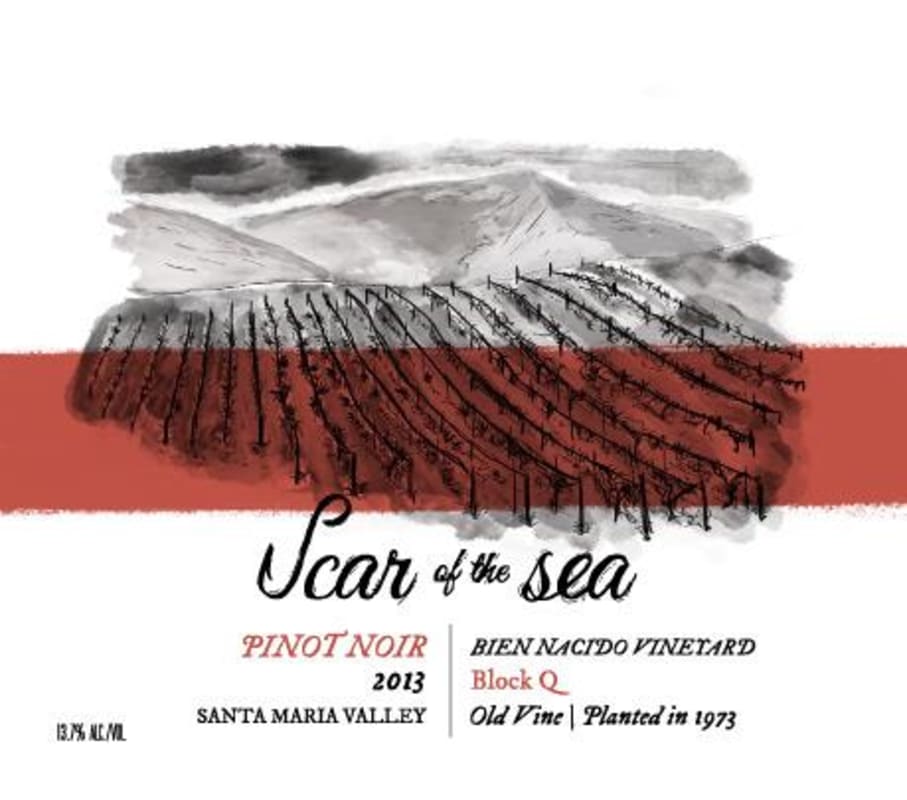 Scar of the Sea Bien Nacido Block Q Pinot Noir 2013 Front Label