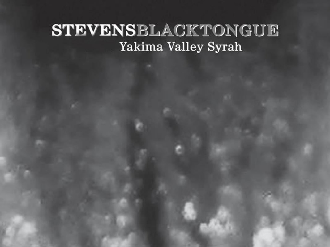 Stevens Winery Black Tongue Syrah 2011 Front Label