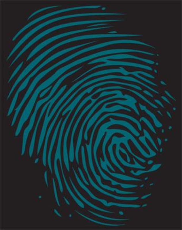 Thumbprint Cellars JB Schmidt Vineyard Petit Verdot 2013 Front Label