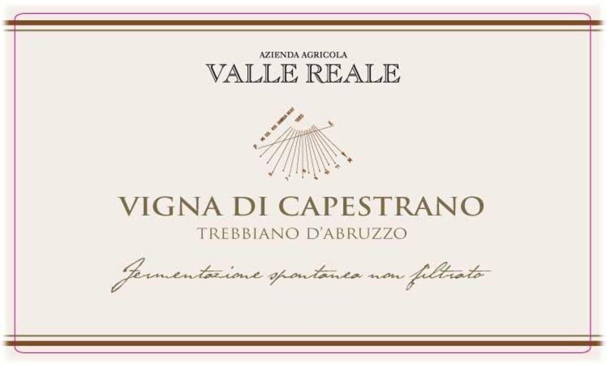 Valle Reale Vigna di Capestrano Trebbiano d'Abruzzo 2013 Front Label