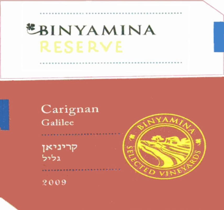 Binyamina Reserve Carignan 2009 Front Label