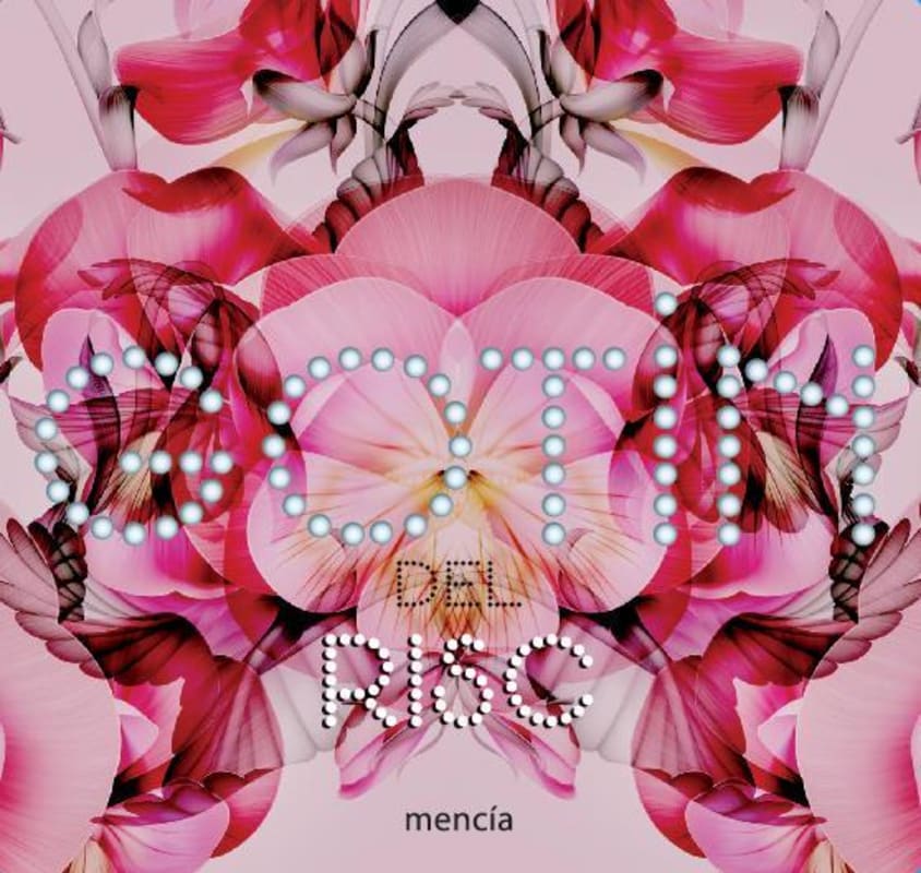 Bodegas del Abad Gotin del Risc Mencia 2012 Front Label