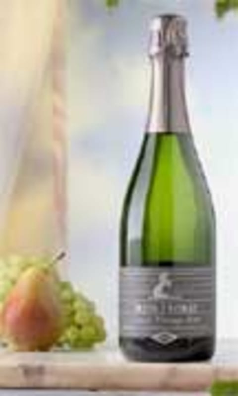 Iron Horse Classic Vintage Brut 1999 Front Label