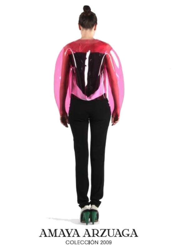 Arzuaga Amaya 2009 Front Label