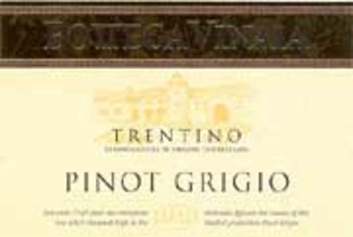 Bottega Vinaia Pinot Grigio 2003 Front Label