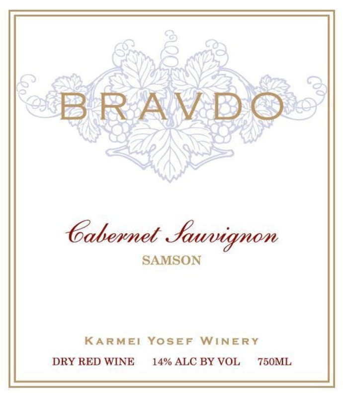 Bravdo Cabernet Sauvignon 2010 Front Label