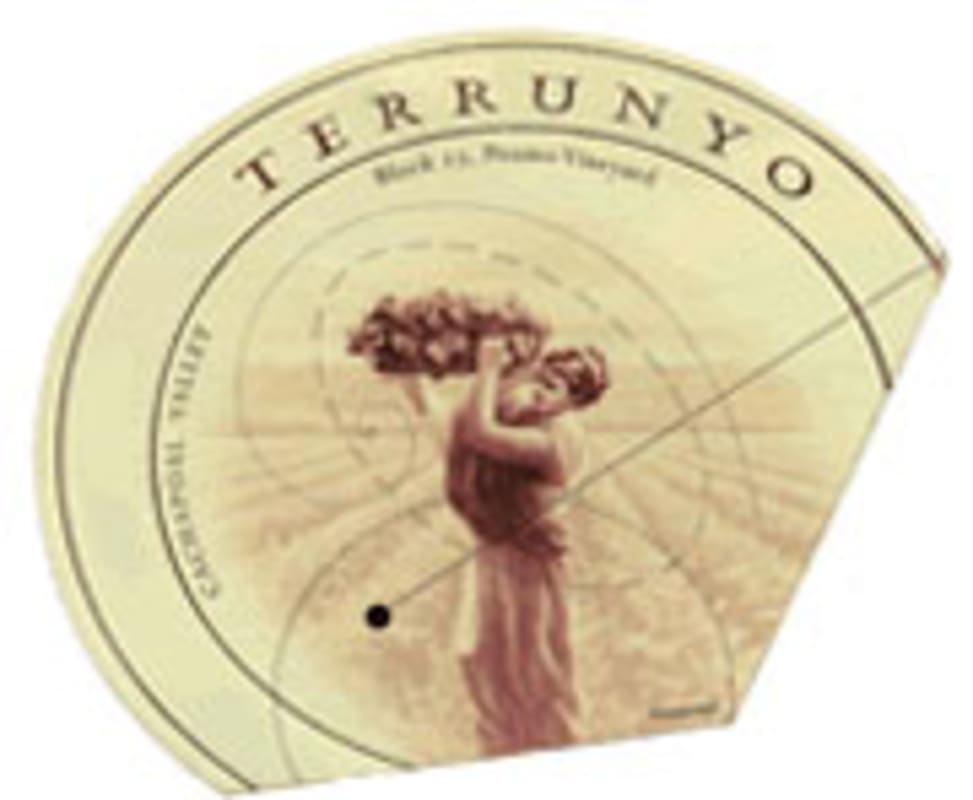 Terrunyo Cabernet Sauvignon 2002 Front Label