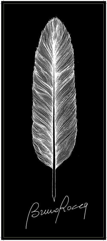 Bruno Rocca Barbaresco Maria Adelaide 2011 Front Label