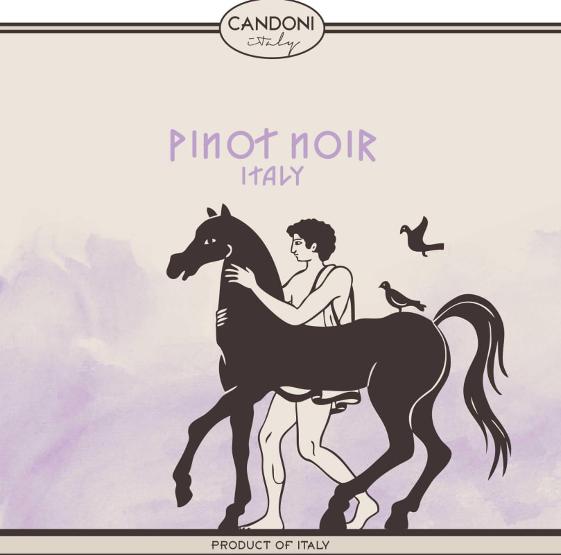Candoni Pinot Noir 2013 Front Label
