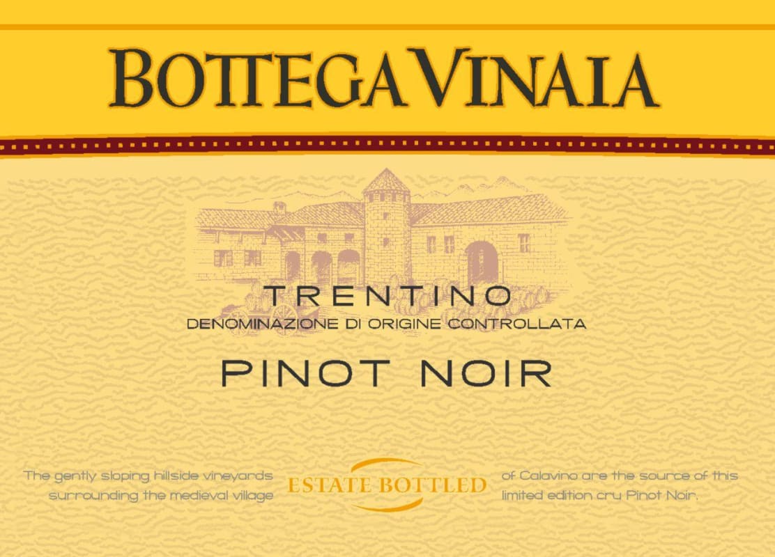 Cavit Bottega Vinai Pinot Noir 2009 Front Label