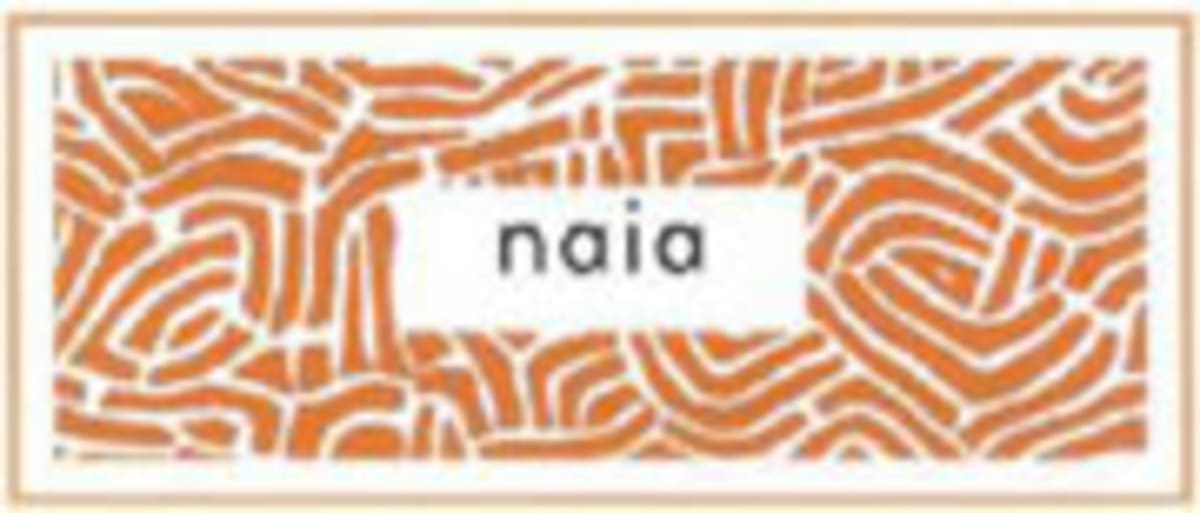 Bodegas Naia Verdejo 2004 Front Label