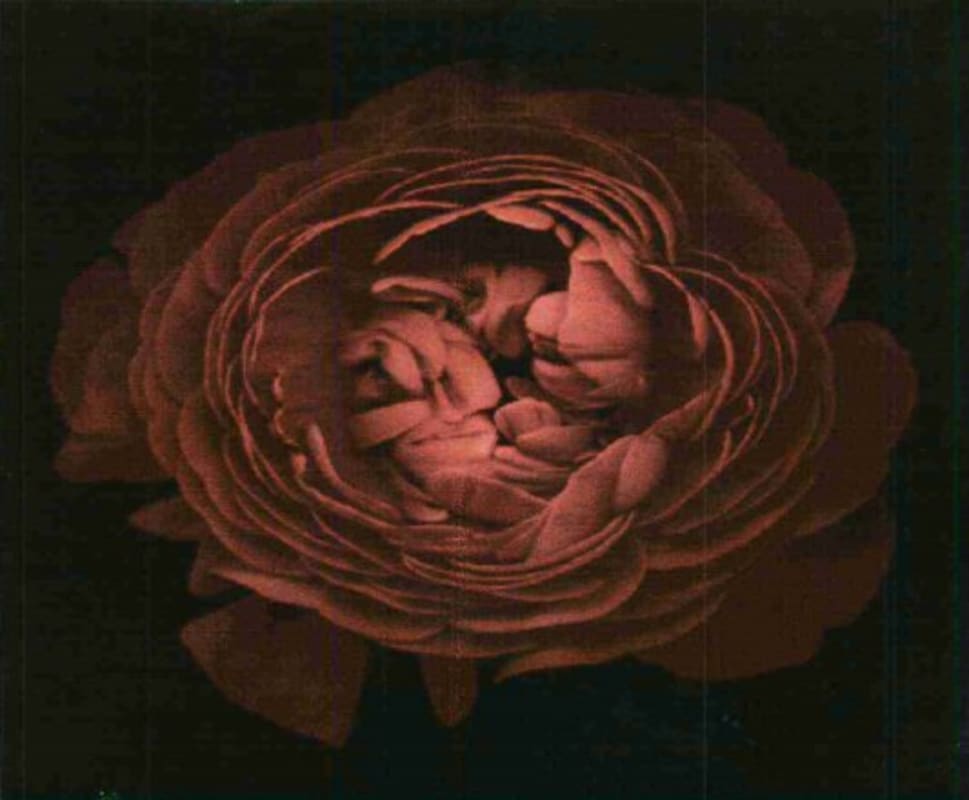 Eric Kent Dry Stack Vineyard Syrah 2005 Front Label