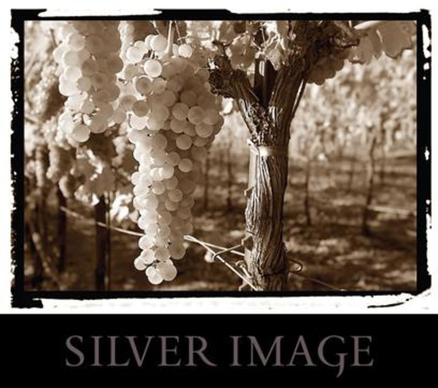 Eric Ross Winery Silver Image Viognier 2013 Front Label