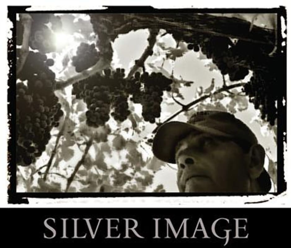 Eric Ross Winery The Immigrant Cabernet Sauvignon 2013 Front Label