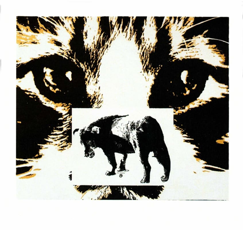 Chimere Chateauneuf-du-Pape 2012 Front Label