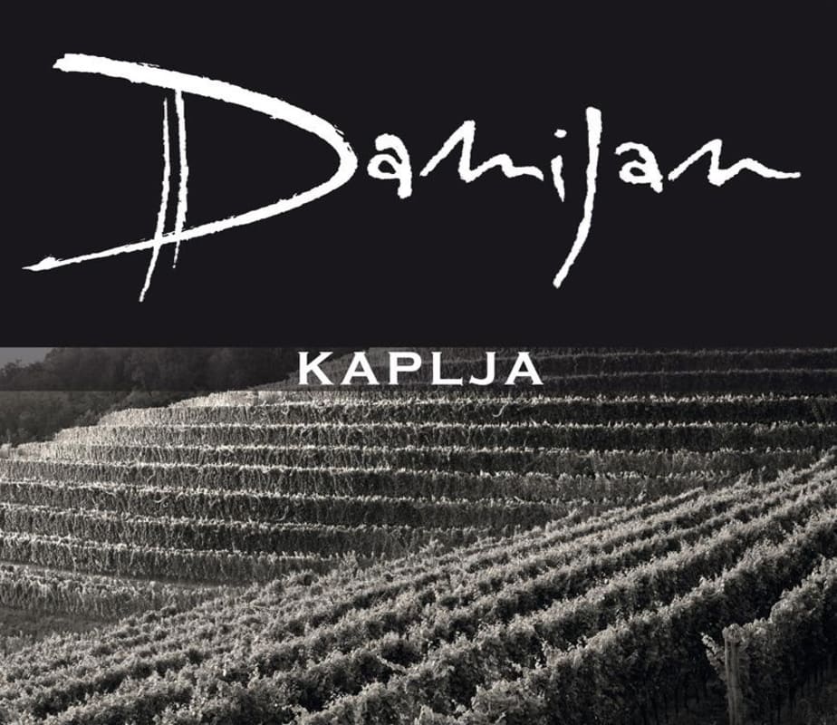 Damijan Podversic Kaplja 2010 Front Label
