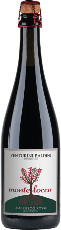 Venturini Baldini Montelocco Lambrusco Front Bottle Shot