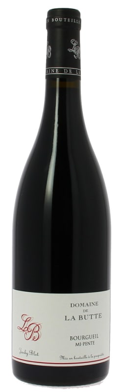 Domaine de la Butte Bourgueil Mi-Pente 2013 Front Bottle Shot