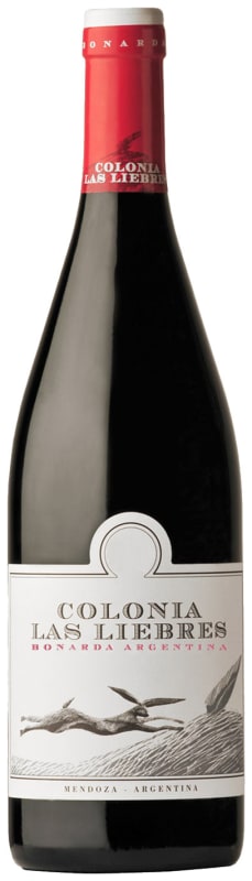 Altos Las Hormigas Colonia Las Liebres Bonarda 2020 Front Bottle Shot