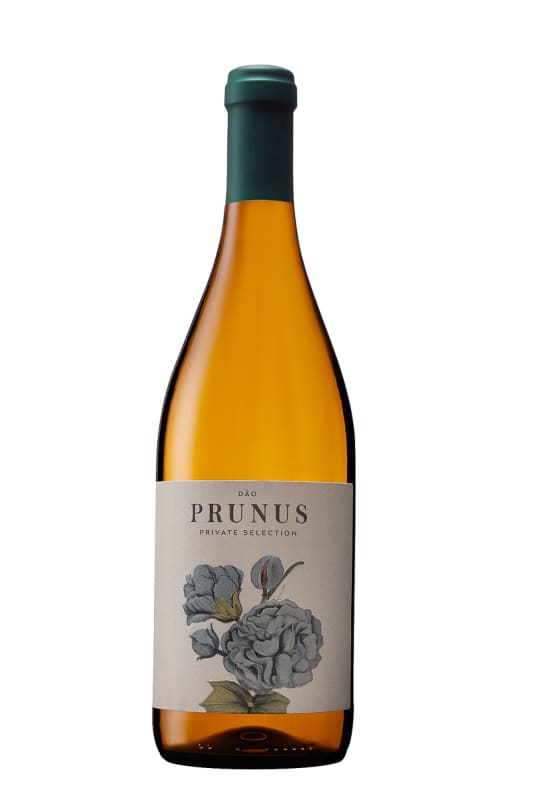Gota Wines Prunus Branco 2021 Front Bottle Shot