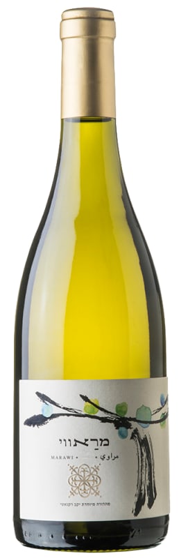 Recanati Reserve Marawi (OU Kosher) 2016 Front Bottle Shot