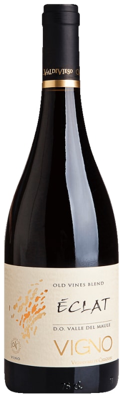 Valdivieso VIGNO 2010 Front Bottle Shot