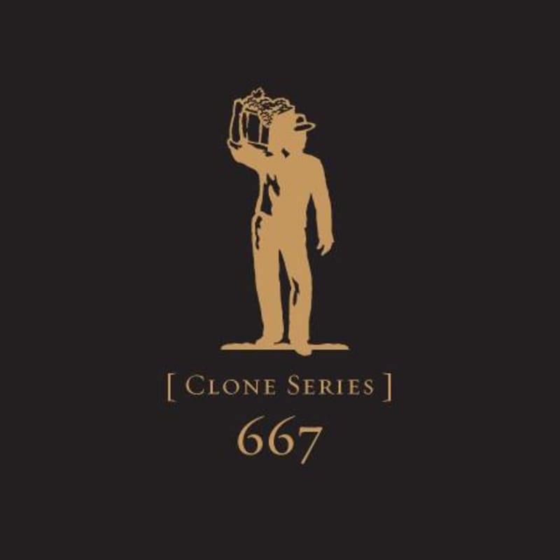Scheid Vineyards Clone Series 667 Reserve Pinot Noir 2009 Front Label