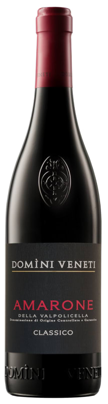 Domini Veneti Amarone della Valpolicella Classico 2019 Front Bottle Shot