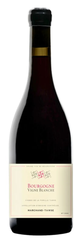 Marchand-Tawse Bourgogne Vigne Blanche 2023 Front Bottle Shot